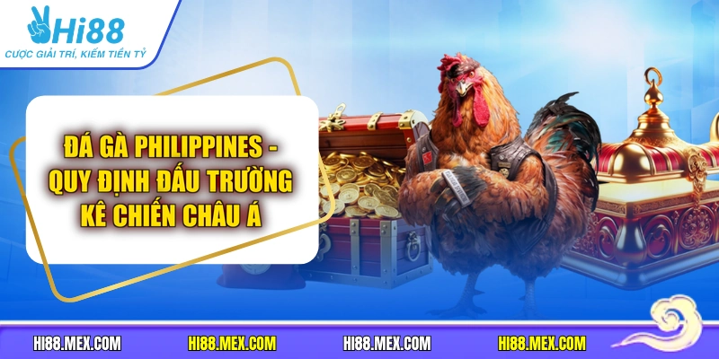Đá Gà Philippines - Quy Định Đấu Trường Kê Chiến Châu Á