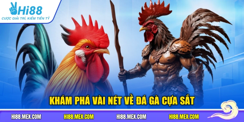Khám phá vài nét về đá gà cựa sắt